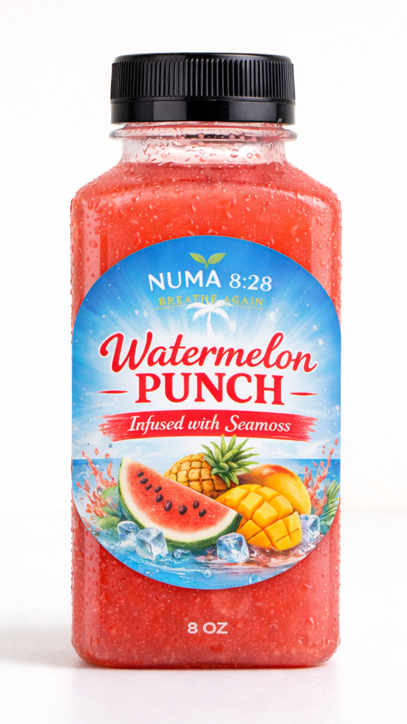 Watermelon Hydration Punch - 4 pack