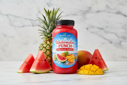 Watermelon Hydration Punch - 4 pack